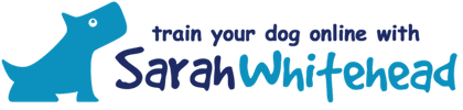A vector illustration of a dog in the corner, looking from the bottom left to the top right, with the text "Train your dog online with Sarah Whitehead" next to the dog.
